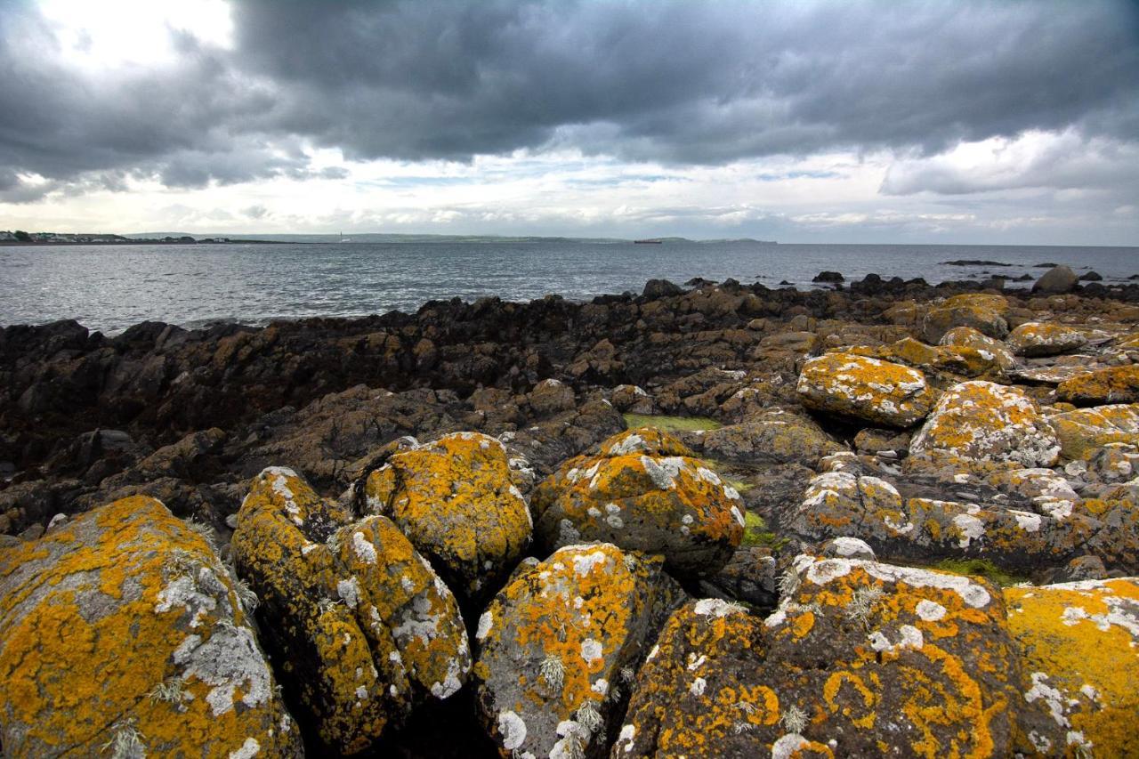 Tern Cottage Groomsport Exterior photo